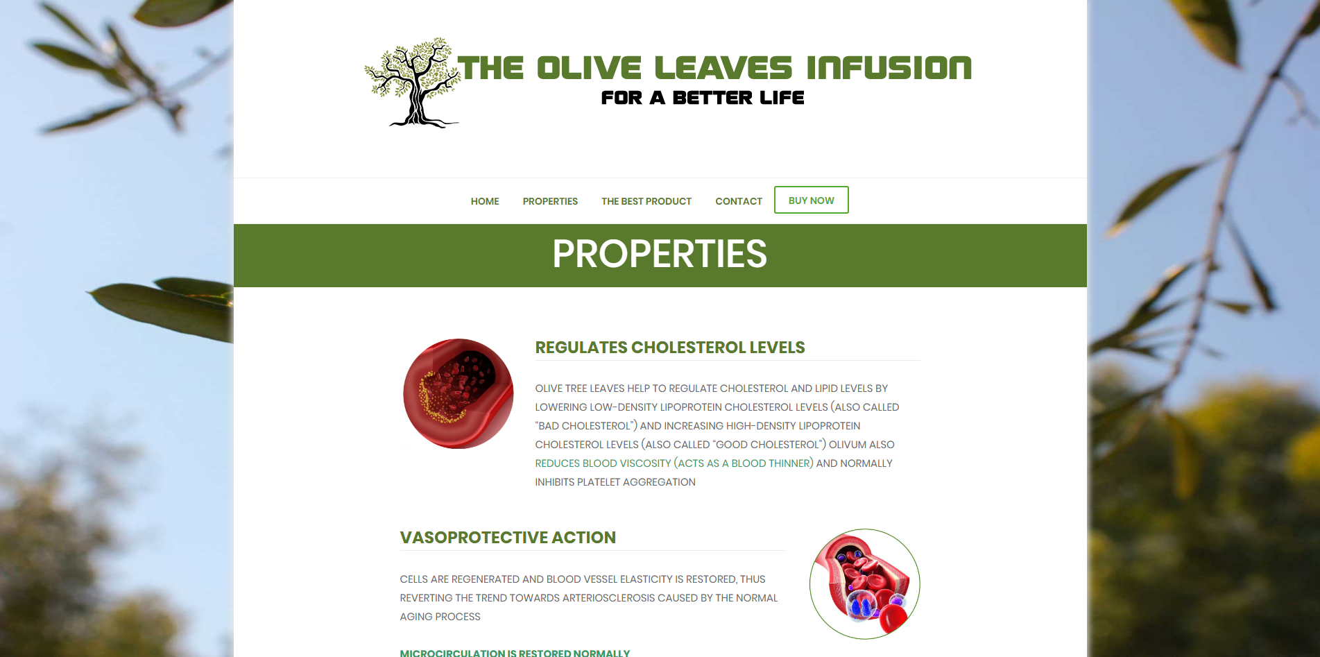 Oliveleafinfusion