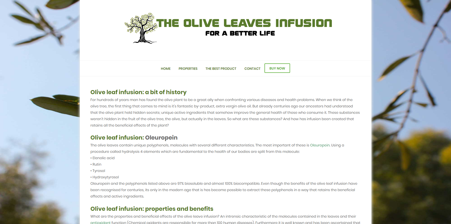 Oliveleafinfusion